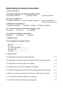 esercitazione circolatorio