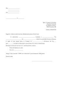 Richiesta autorizzazione abbattimento piante alto fusto
