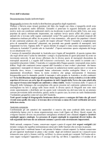 Prove dell`evoluzione Documentazione fossile (paleontologia