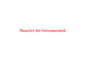 Carboidrati 2 File