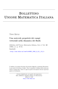 Una notevole proprietà dei campi vettoriali nella dinamica dei fluidi.