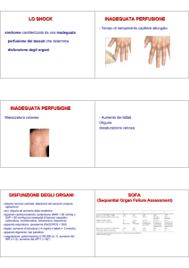 Lo shock - ventilab