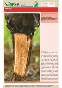 Legno riccio - ARSSA Abruzzo