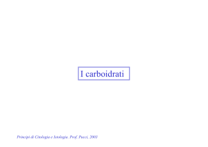 I carboidrati