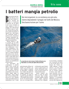 I batteri mangia petrolio