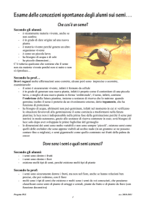 Esame delle concezioni spontanee degli alunni sui semi…