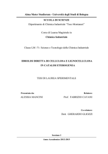 - AMS Tesi di Laurea