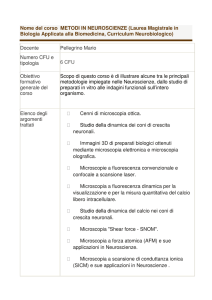 Nome del corso METODI IN NEUROSCIENZE (Laurea Magistrale in
