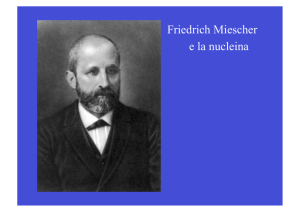 Prof. Luciano Gaudio