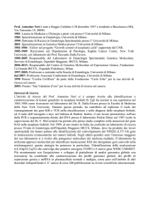 Curriculum italiano