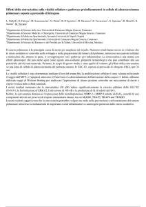 Effetti della simvastatina sulla vitalità cellulare e pathways