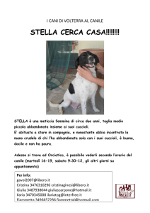 Stella  - Comune di Volterra