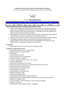 Elenco degli insegnamenti - Università degli Studi dell`Insubria