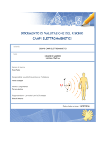 12 Esempio Campi Elettromagnetici