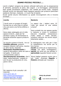 scheda lieviti e batteri
