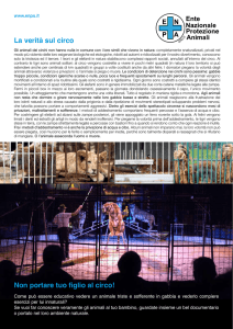 La verità sul circo