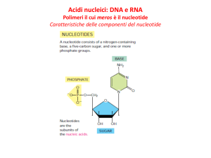 Citologia 2