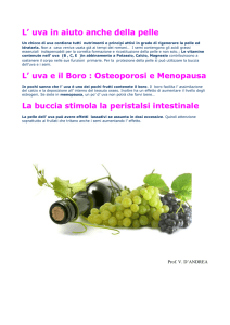 L` uva in aiuto anche della pelle