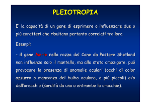 Diapositiva 1 - UniNa STiDuE