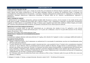 amfotericina B