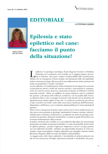 Epilessia e stato epilettico nel cane: facciamo il punto