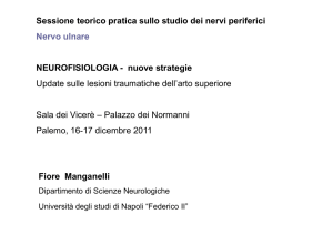 Sessione teorico pratica sullo studio dei nervi periferici Nervo ulnare