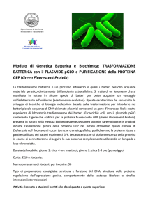 Modulo di Genetica Batterica e Biochimica