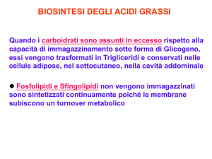 SINTESI ACIDI GRASSI