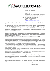 Hippomundo - Richiesta Accesso Banca Dati Sella