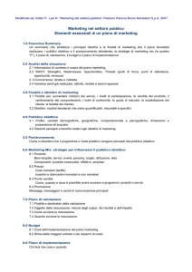 Marketing nel settore pubblico Elementi essenziali di un piano di
