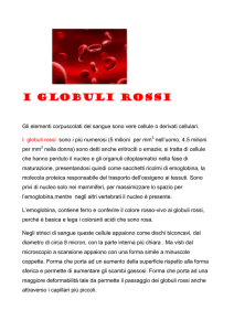 i globuli rossi - IHMC Public Cmaps (2)
