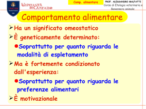 Comportamento alimentare