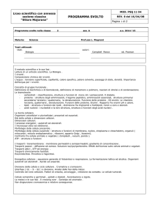 Programma svolto nella classe