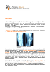 Scarica file completo