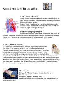 leggi l`articolo
