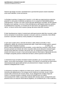 Iperdistensioni e stiramenti muscolari