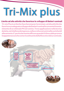 lievito mangimi trimix e trimix plus