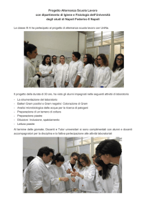 Progetto Alternanza Scuola Lavoro con dipartimento