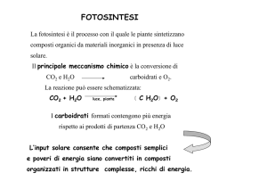 FOTOSINTESI