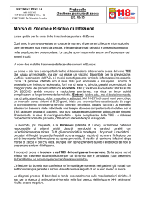 Protocollo gestione punture di zecche