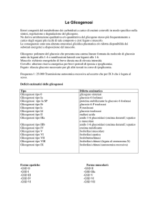 Scarica scheda pdf