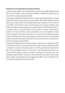 Infezione da virus dell`epatite B ed epatocarcinoma