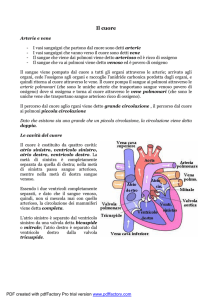 Il cuore - Hi, school