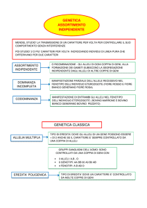 GENETICA - assortimento indipendente
