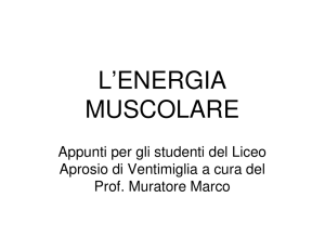 l´energia muscolare