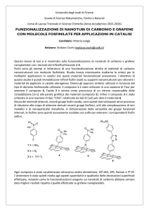 FUNZIONALIZZAZIONE DI NANOTUBI DI CARBONIO E GRAFENE
