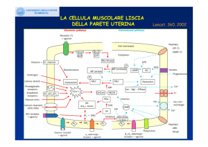 Nessun titolo diapositiva