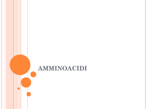 AMMINOACIDI e