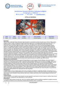 Associazione Pescatori Sportivi e Subacquei Lodigiani