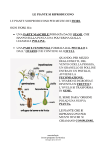 le piante si riproducono